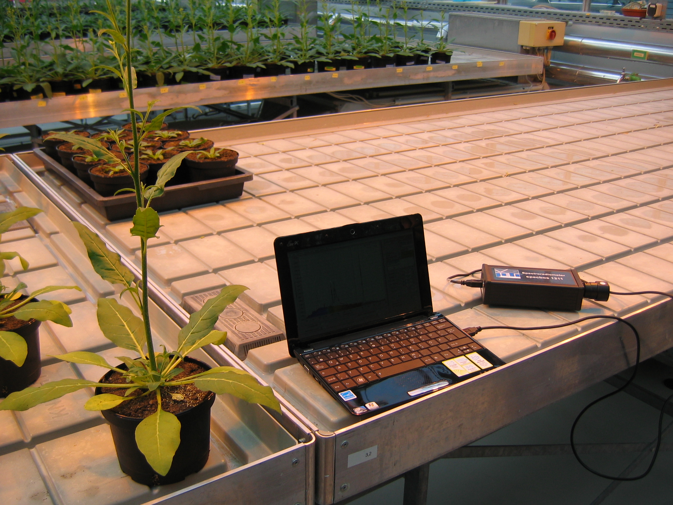 JETI specbos 1211-UV-2 equipped with 90° diffusor